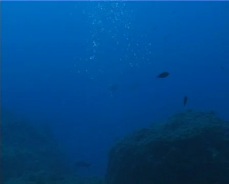 Bubbles (D080) 動画素材 150127