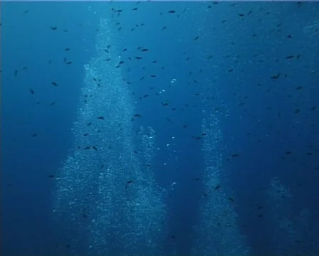 Bubbles (D087) 動画素材 146079