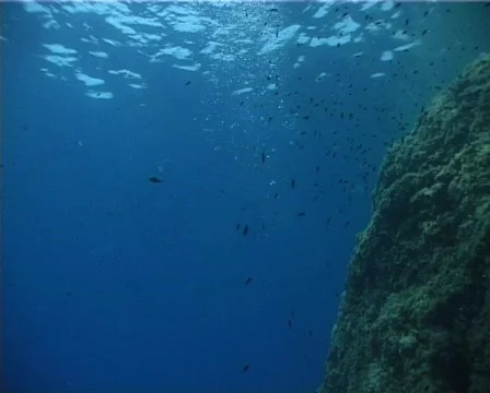 Bubbles (D105) 動画素材 150160