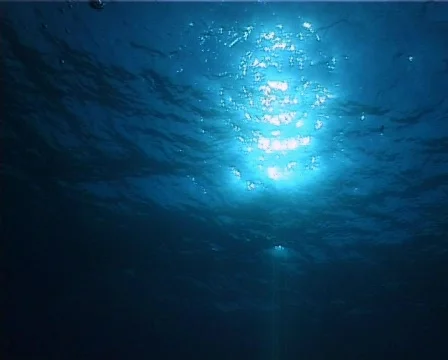 Bubbles (D210) 動画素材 152464