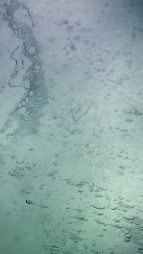 Bubbles dance beneath Arctic ice in tranquil cold waters Video stock 318212836