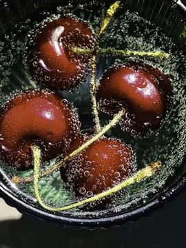 Bubbles of Delight Фото