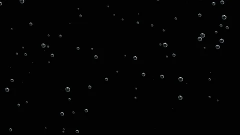 Bubbles of different sizes. Slow motion, black background. Stock Footage 115241691
