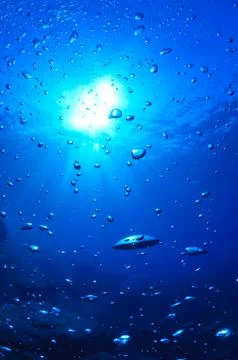 The bubbles of a diver Stock Photos