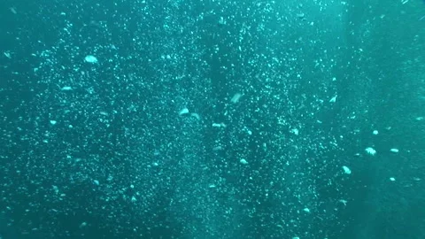 Bubbles (Diver's Bubbles) Stock Footage 332766187