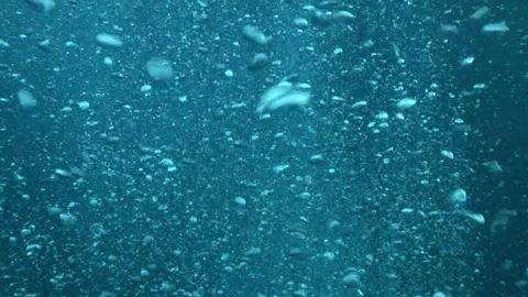 Bubbles (Diver's Bubbles) Stock Footage 332766214