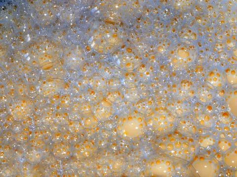 Bubbles on the dough Stock Photos