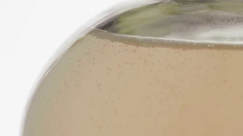 Bubbles due to fermentation in glass demijohn Stock Footage 157444469