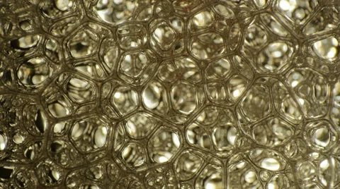 Bubbles extreme close up tilting motion Vidéo 56704204