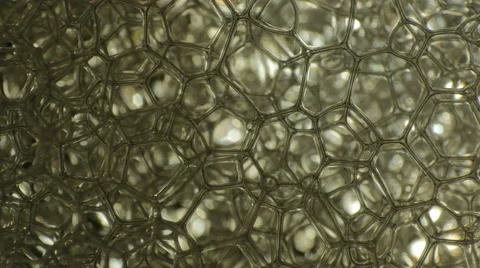 Bubbles extreme macro bursting Vidéo 56704219