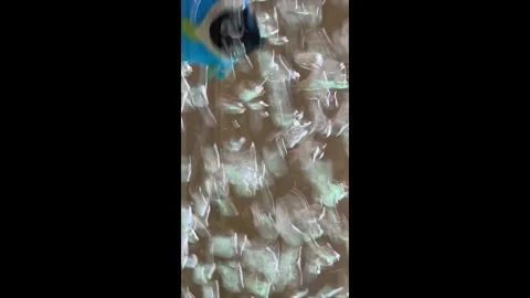 Bubbles Fast &amp; Blue Fish 2 Stock Footage 287159696