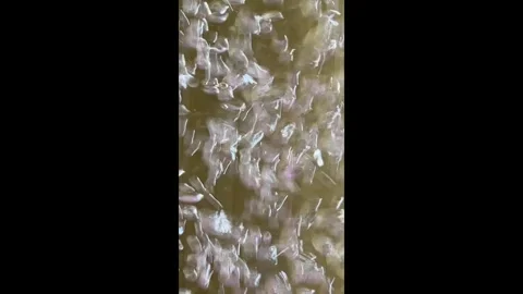 Bubbles Fast Blurry Background 2 Stock Footage 287159810