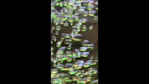 Bubbles Fast Color 1 Stock Footage 287159635