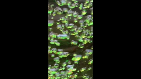 Bubbles Fast Color 2 Stock Footage 287159717