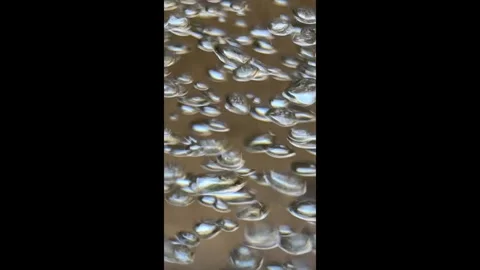 Bubbles Fast Muted Background 2 Stock Footage 287159734