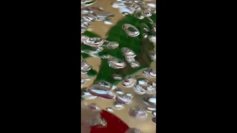 Bubbles Fast &amp; Orange Clown Fish &amp; Green Seahorse Stock Footage 287159748