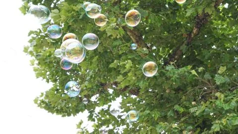 Bubbles in Flight 3 스톡 사진