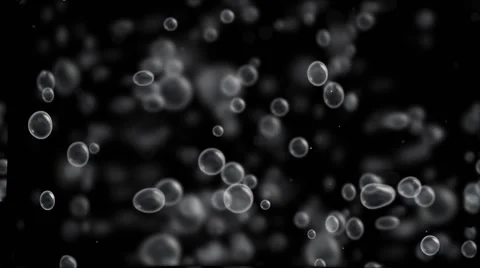 Bubbles floating up animation Stock-Footage 62295158