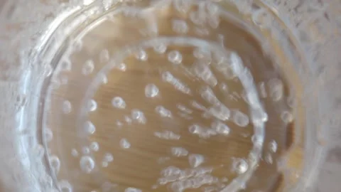 Bubbles floating in a Clear Liquid inside a Glass Container, creating a Stock Footage 287671809