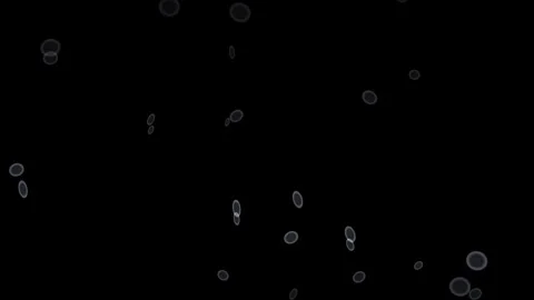 Bubbles floating in darkness with soft light and slow Stock Footage 339077601