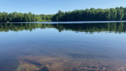 Bubbles floating by gently on clear calm lake Stock Footage 225357723