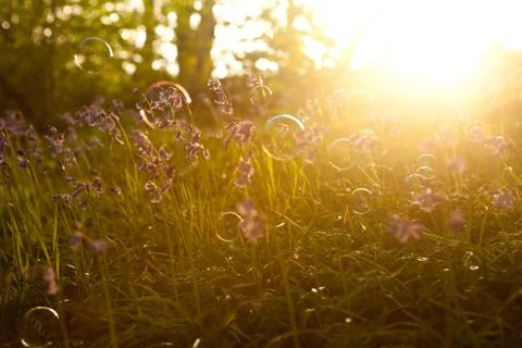 Bubbles floating in meadow Foto stock