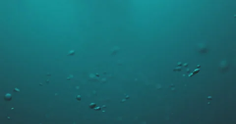 Bubbles Floating Past the Camera up to the Ocean Surface Stock Footage 279918739