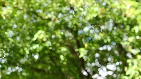 Bubbles floating in slow motion with green tree behind it Stock Footage 207337865
