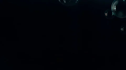 Bubbles floating in slowmotion black background Stock Footage 84505316