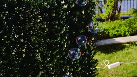 Bubbles Floating Through Sunny Garden - Joyful Vibes from a Bubble Machine 動画素材 301676967