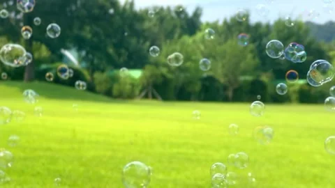 Bubbles flying over a wide field Stock Footage 248902519