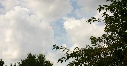 Bubbles flying in the sky with cloudy bluey background Video stock 207339187