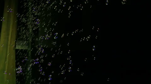 Bubbles flying through the air  Stock Footage 64955131