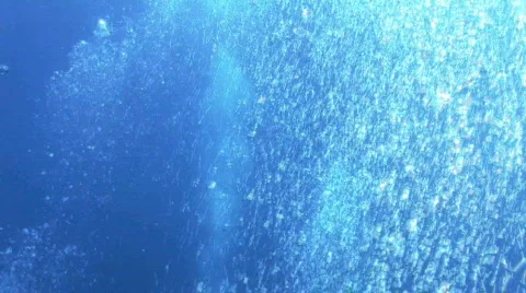 Bubbles Stock Footage 157187