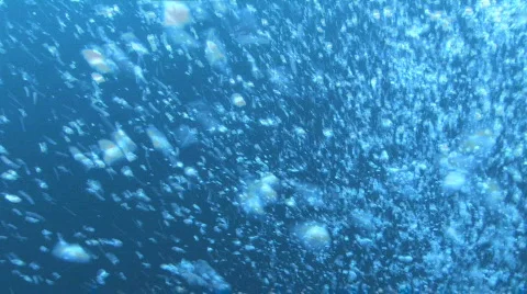 Bubbles Vídeos de archivo 278089