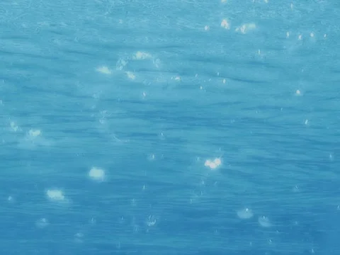 Bubbles Stock Footage 490310