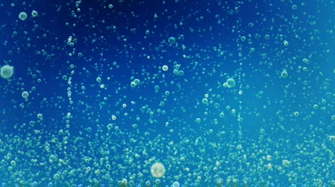 Bubbles Stock Footage