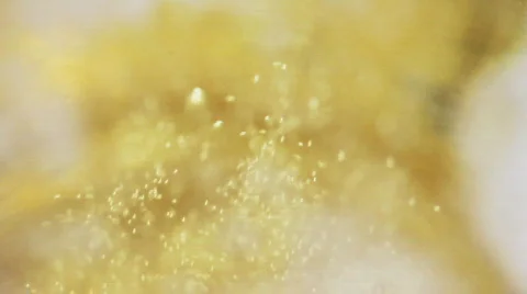 Bubbles Stock Footage 781306