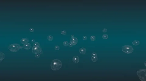 Bubbles Vidéo 2489625