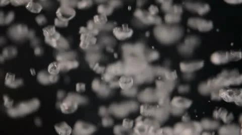 Bubbles Video stock 9150077