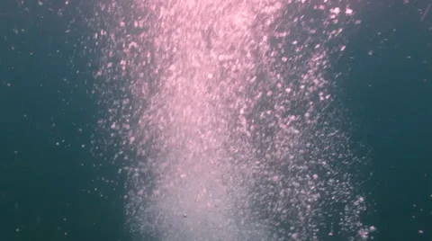 Bubbles Stock Footage 24283523