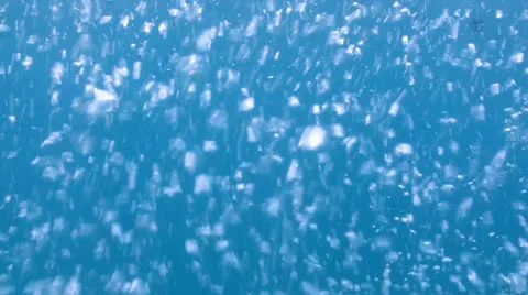 Bubbles Stock Footage 24352389