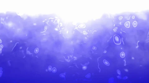 Bubbles Stock-Footage 27828139