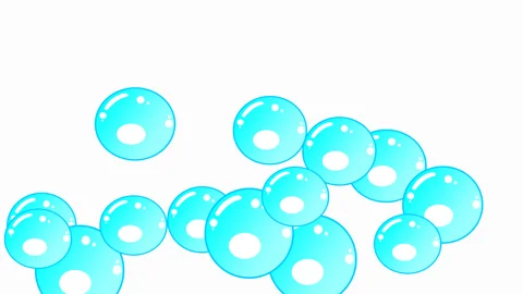 Bubbles footage animation isolated on white background Stock Footage 247333713