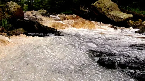 Bubbles in the forest river in Parc naturel Hautes Fagnes - Eifel. Stock Footage 33962483
