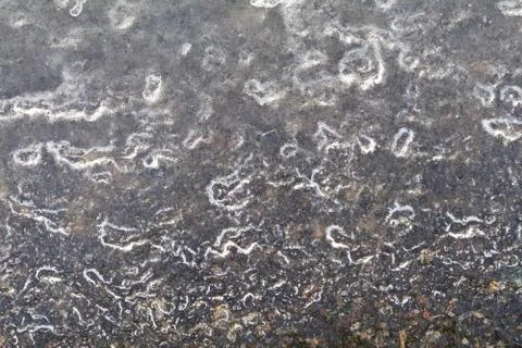 Bubbles form an abstract ice pattern Stock Photos