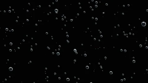 Bubbles gas particles background. Bubbles of champagne rise from the depth and Stock Footage 115242019