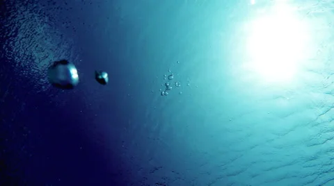 Bubbles Gently Moving Upwards from an Underwater POV. Stock Footage 51258951