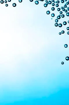 Bubbles on a glass Stock-Fotos