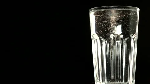 Bubbles in a glass of water Stock Footage 169523416